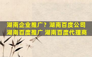 湖南企业推广？湖南百度* 湖南百度推广 湖南百度代理商